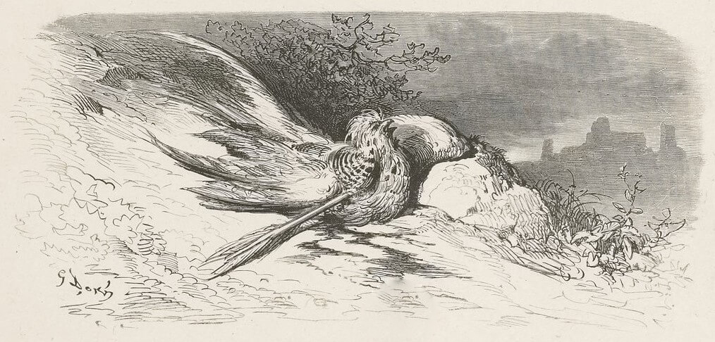 L'Oiseau-Blesse-d'Une-Fleche-de-Jean-de-La-Fontaine-dans-Les-Fables-Illustration-de-Gustave-Dore-1876