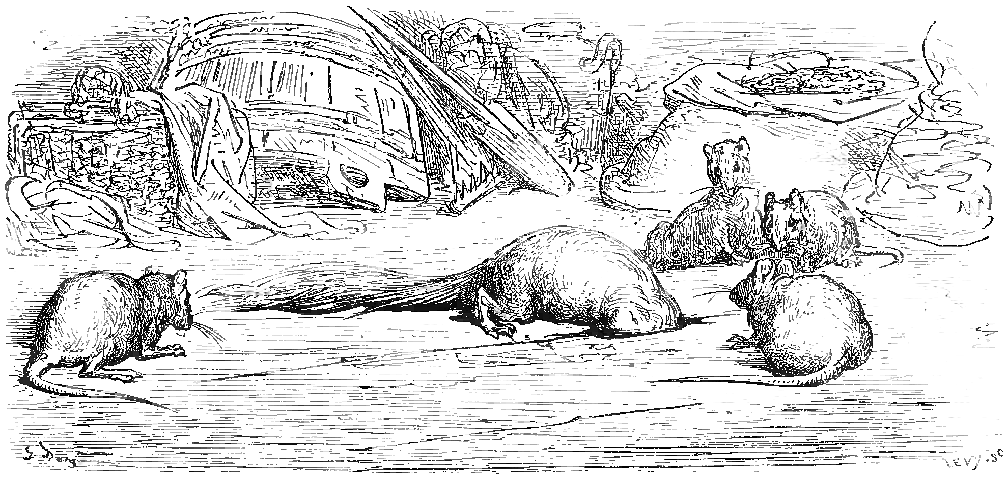 La Belette entrée dans un grenier - Gustave Doré