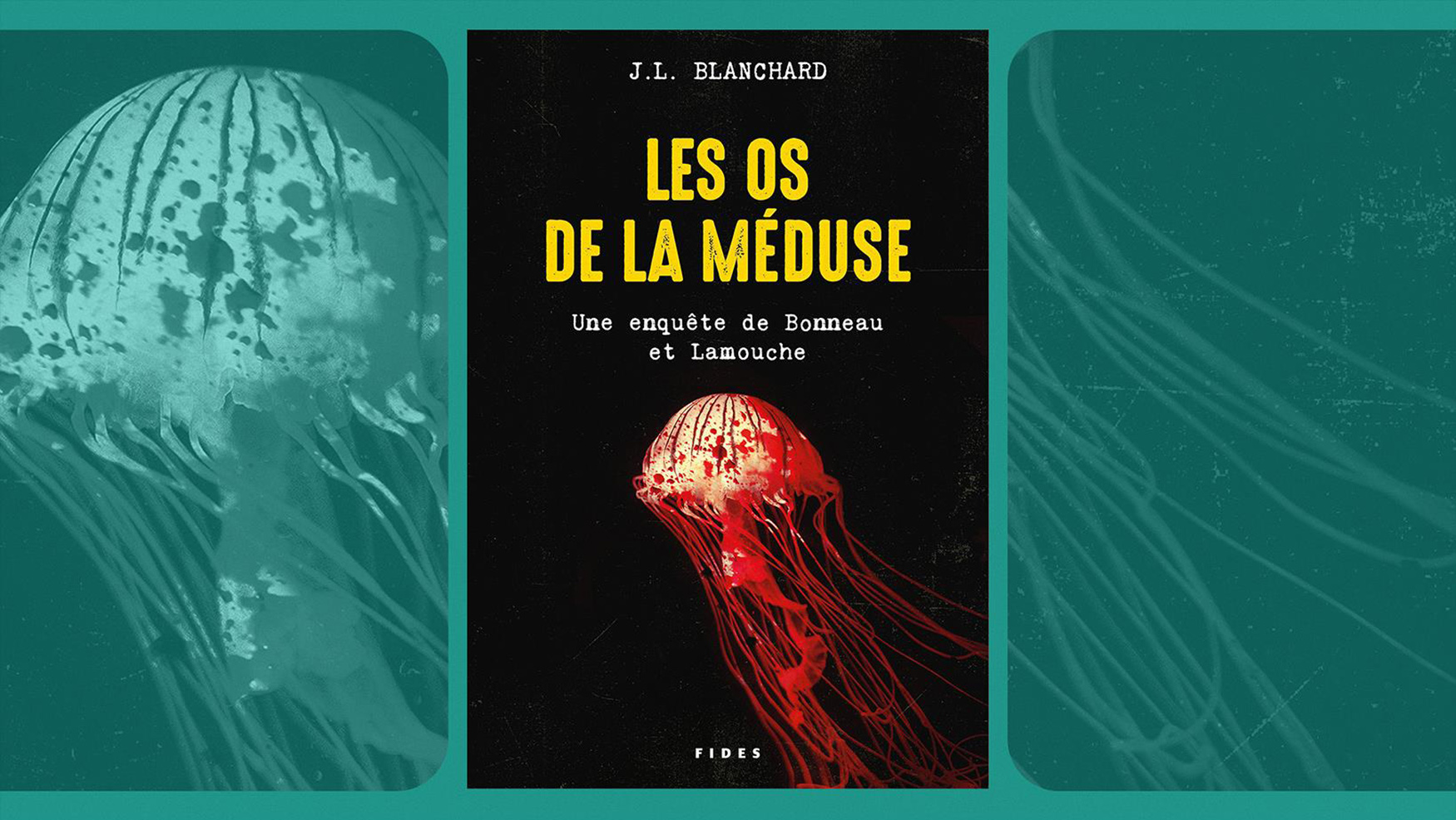 les-os-de-la-meduse-c radio-canada