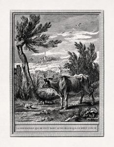 The Frog and the Ox by Jean-Baptiste Oudry
