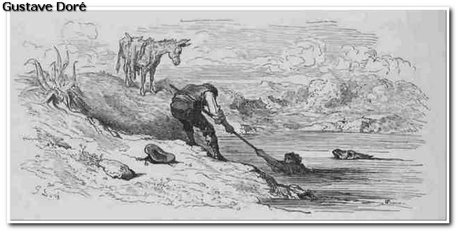 l-ane-charge-d-eponge-et-l-ane...gustave-dorefable-