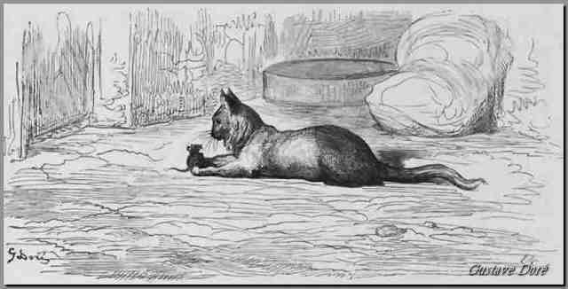 le-vieux-chat-et-la-jeune-souris-gustave-dore7
