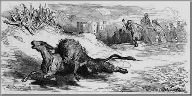 l'ane-vetu-de-la-peau-d-un-lion-gustave-dore7